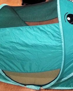 Popup tent: Finley the Seal (teal)